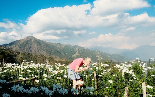 Atok Gardens Day Tour