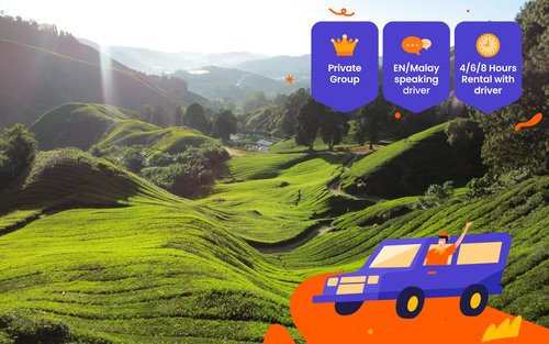 Cameron Highlands Private Car or Van Charter