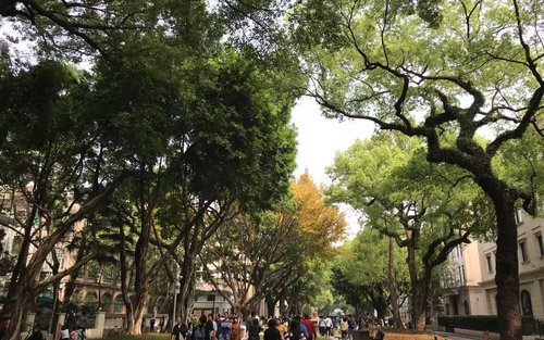 广州老城区与沙面岛半日历史游
