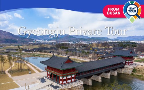 釜山発：慶州の人気スポットを巡る、最高のドライバーによるレンタカー