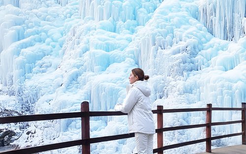 Nami Island at Eobi Ice Valley at Morning Calm at Alpaca at Seorak Frozen