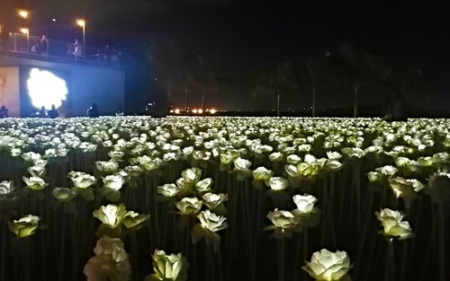 宿雾西南旅行社夜间全景游