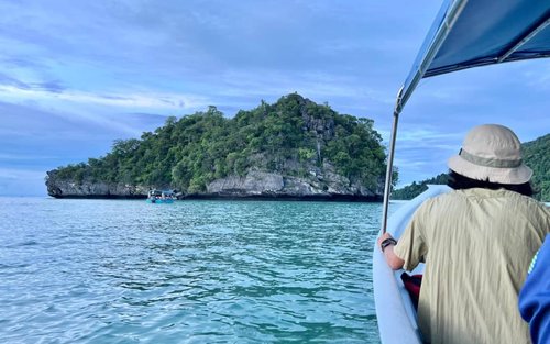 Langkawi Kilim Karst Geoforest Park Nachttour mit Führung
