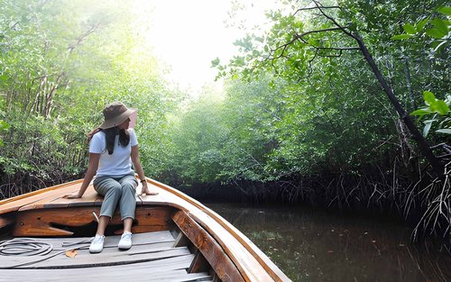 Madu River Boat Safari
