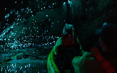 Glow Worm Kayak Tour