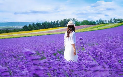 Eintägiger Sommerausflug in Hokkaido: Patchwork Road & Tomita Farm & Shikisai-no-oka & Blauer Teich & Shirahige-Wasserfall (Abfahrt von Sapporo)