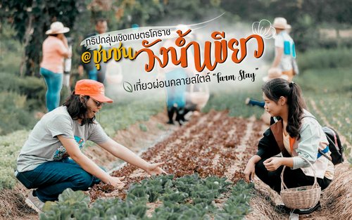 Local 2 Days 1 Night Wang Nam Khiao Agritourism Community Tour