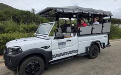 Addo Elephant National Park Half-Day Safari Experience