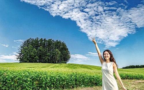 [Late Departure] Relaxed Biei & Furano Essential Course Highlights