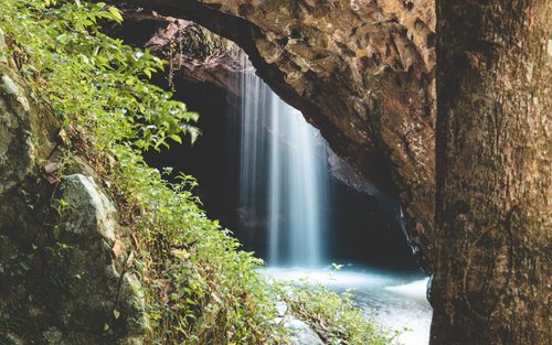 Tamborine National Park