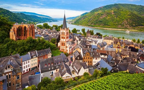 Private Tour from Frankfurt to Rhine Valley: Castles & Vineyards