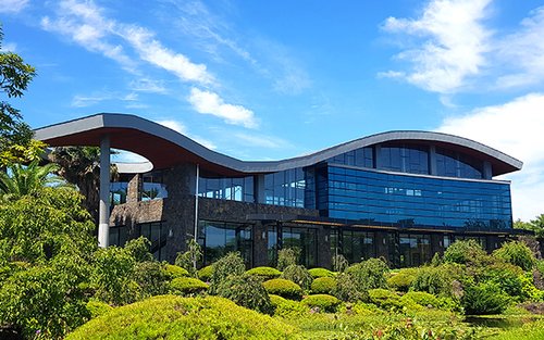 [제주/서부] 노리매 테마파크 입장권