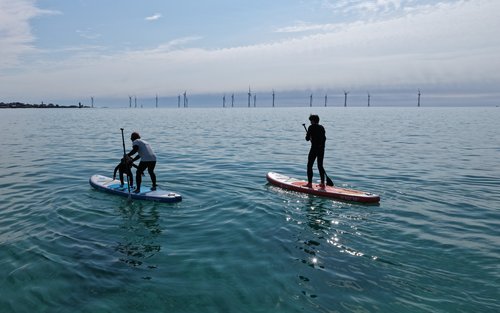 Jeju Aewol Ocean Breeze - SUP Adventure