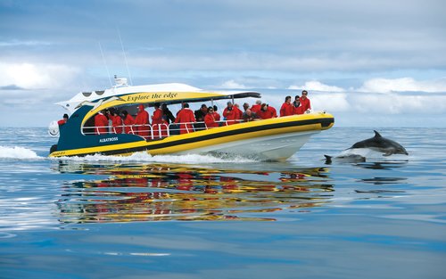 Tasman Island Cruises Full Day Tour from Hobart
