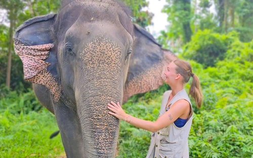 Expérience Elephant World Samui