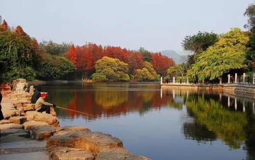 Tur Pribadi Satu Hari di Guangzhou (Gunung Baiyun/Aula Peringatan Sun Yat-sen/Kuil Keluarga Chen/Taman Yuexiu/Menara Canton, dll.)