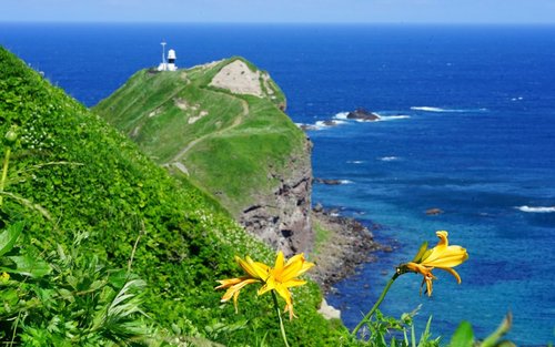 Excursion d'une journée au Cap Kamui d'Hokkaido et au Canal d'Otaru