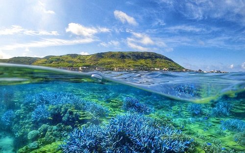 Penghu: Excursão de um dia de ilha em ilha no Parque Nacional das Quatro Ilhas do Sul e mergulho com snorkel na Floresta de Lavanda