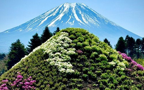 河口湖与大石公园一日游