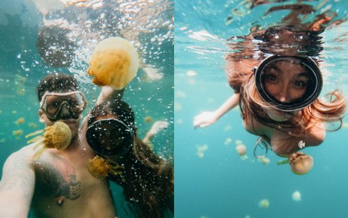 锡亚高岛超值索洪顿跳岛之旅