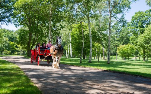 Északi Lópark Jegy Tomakomaiban, Hokkaidóban