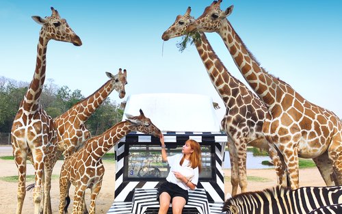 Excursió privada de dia complet al Parc Safari de Bangkok Kanchanaburi