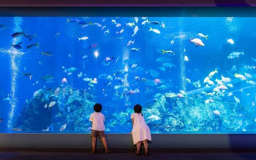 名古屋伊勢神宮及鳥羽水族館夫婦岩全日遊