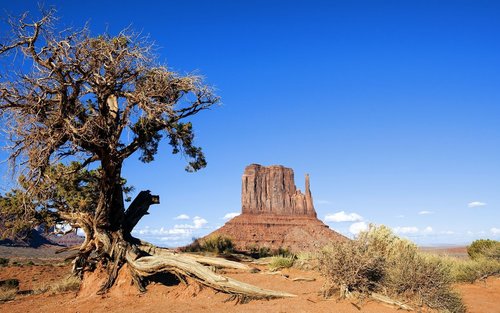 San Francisco 7-Day West Coast Nature & City Tour