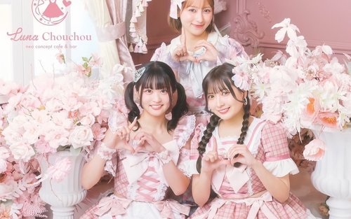 Idol Talk & Drink Experience Plan