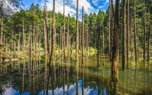 ทัวร์ 2 วัน: อุทยานหวังโยว, ซันหลินซี, หมู่บ้านปีศาจ, อุทยานแห่งชาติซีโถว และวัดจื่อหนานกง