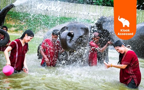 Kerchor Elephant Family Phuket Sanctuary Half Day Visit