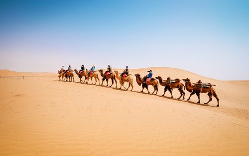 Excursão de 2 dias em grupo pequeno pelo Deserto de Tengger e Rota 66 de Yinchuan