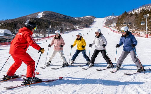 Seoul Jisan Forest Ski Resort Full-Day Small Group Ski Tour