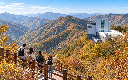 Busan: Ice Valley Cable Car & UNESCO Nature Discovery Tour