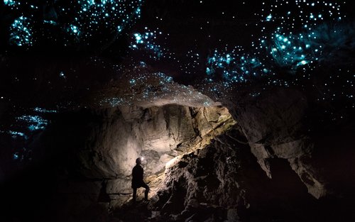 Private Glowworm Cave Tour dengan Down to Earth Waitomo