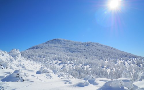 Nagano Winter Exploration: Suwa Taisha & Kitayatsugatake Ropeway