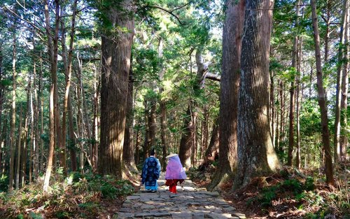 熊野古道世界遺產健行二日遊