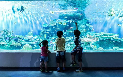 Maxell Aqua Park Shinagawa: Everything You Need Before Visiting