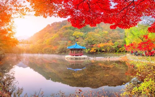 Lawatan Sehari Melihat Maple Musim Luruh di Taman Negara Naejangsan dari Seoul / Busan 