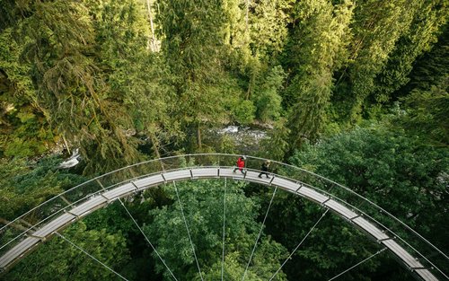 Aventura de o jumătate de zi la Vancouver Lookout și Podul Suspendat Capilano