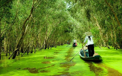Tour de 3D2N por el Mekong: Cai Be, Can Tho, Chau Doc desde Ciudad Ho Chi Minh