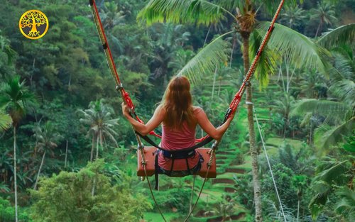 Excursion privée d'une journée à Bali : cascade de Tukad Cepung et balançoire dans la jungle 
