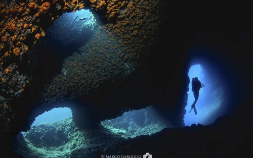 Seaside Skills: Open Water Diver Course in Sorrento with PADI Center