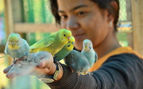 Zoori at Residence Inn Ticket in Tagaytay