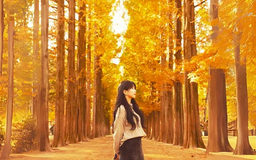 南怡岛 + 鱼飞溪谷冰川 + 铁路自行车 + 晨静树木园 + 秋海棠鸟园一日游