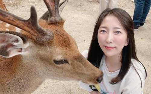 [한국어 가이드 & 리뷰 이벤트] [소소버스투어] 오사카 교토 나라 버스 투어