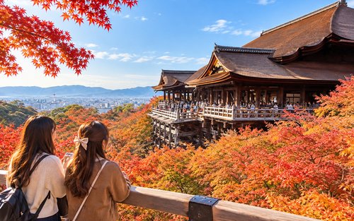 【Khởi hành từ Osaka/Kyoto】Chuyến đi một ngày đến Cố đô Kyoto Di sản Thế giới: Chùa Kinkakuji & Rừng tre Arashiyama Cầu Togetsukyo & Sanjusangendo & Chùa Kiyomizu-dera Ninenzaka Sannenzaka (Có thể nâng cấp lên thịt bò Kobe A5 độc quyền cao cấp)