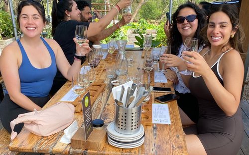 莫宁顿半岛精品葡萄酒和午餐小团游