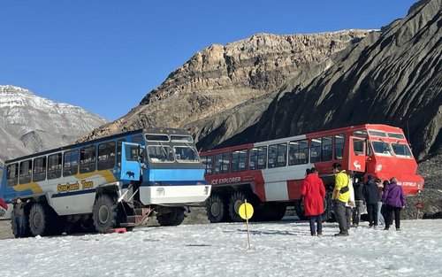哥伦比亚冰原探险、弓湖和佩托湖之旅