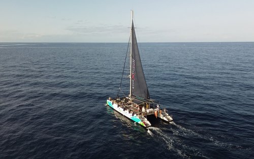 Whale and dolphin watching and listening experience in Costa Adeje